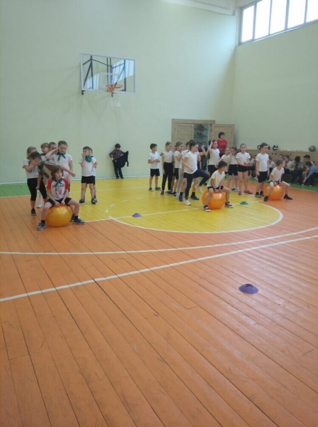 В Рогачевской школе  отметили День здоровья
